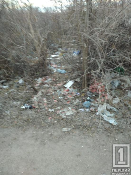 Дорога звузилася на півтора метра через мотлох: на Магістральній ліквідували величезне звалище2