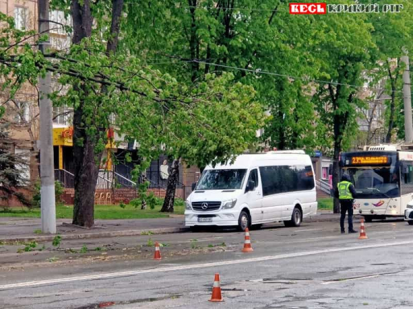 Гілка впала на контактну мережу тролейбусів поблизу Ремпобуттехніки в Кривому Розі