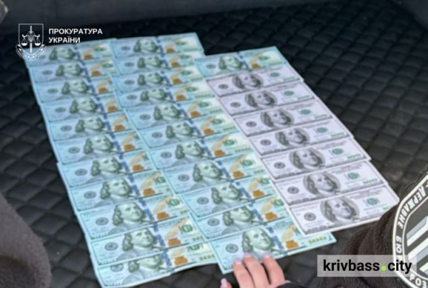Хабар на трасі: у Кривому Розі затримали поліцейську, яка «продавала» фіктивну службу в штурмовому батальйоні