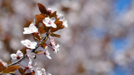 Холод і сильний вітер: синоптики поки не прогнозують тепло