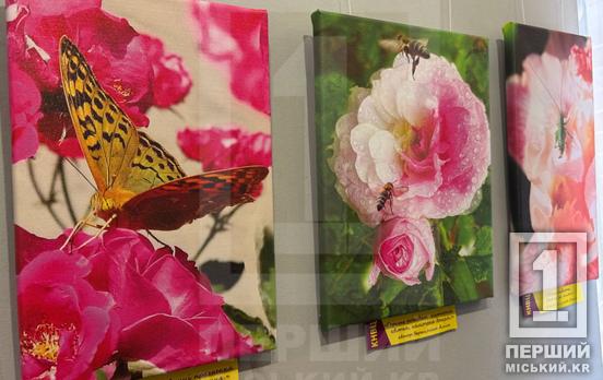 Кривий Ріг крізь об’єктив: у місті відкрилася виставка молодих фотографів