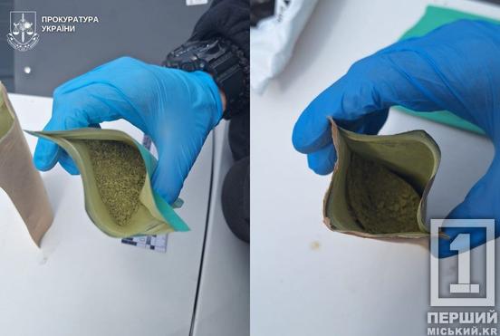Мала велику партію забороненого «чаю»: у Львові затримали 27-річну криворіжанку1