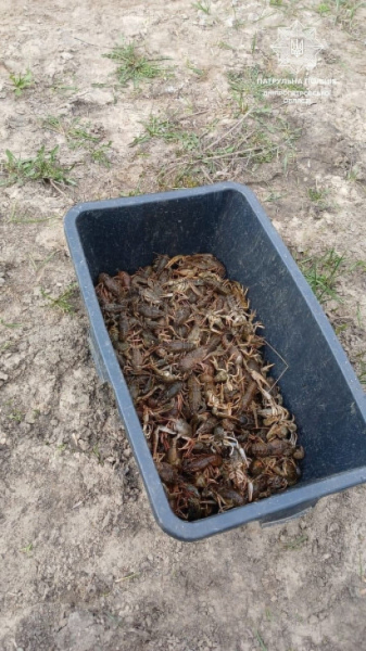 На Дніпропетровщині рибоохоронний патруль затримав браконьєра і попередив збитки рибному господарству на суму майже 640 тисяч гривень1