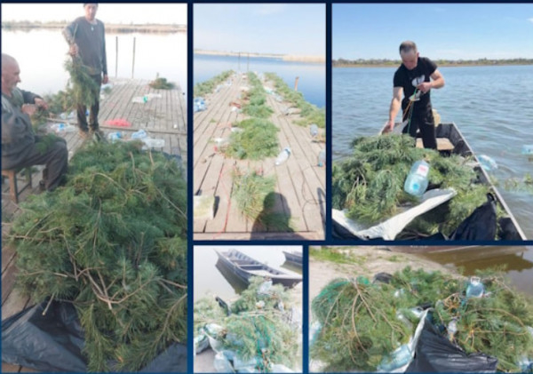 На Дніпропетровщині встановили тисячу штучних нерестовищ для риби0