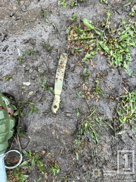 Напився до чортиків і кидав гранати: на Дніпропетровщині чоловік влаштував вибух та поранив правоохоронців3