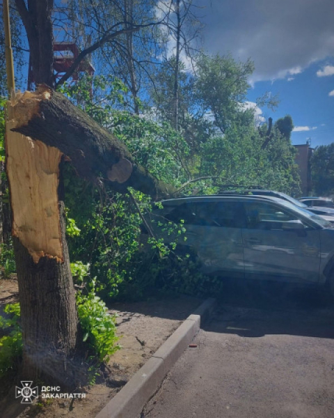 Негода розбушувалась: є загиблі, населенні пункти без світла, тролейбуси стоять1