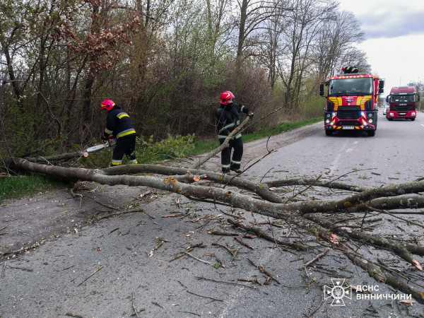 Негода розбушувалась: є загиблі, населенні пункти без світла, тролейбуси стоять4