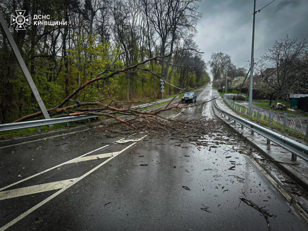 Негода розбушувалась: є загиблі, населенні пункти без світла, тролейбуси стоять3