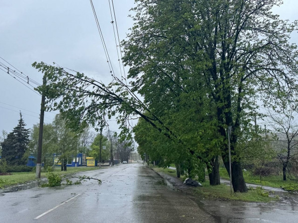 Негода розбушувалась: є загиблі, населенні пункти без світла, тролейбуси стоять0