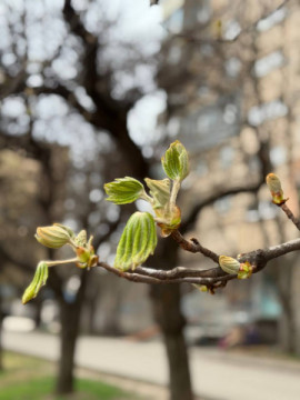 Ніч без атак для Кривого Рогу: ранкове зведення