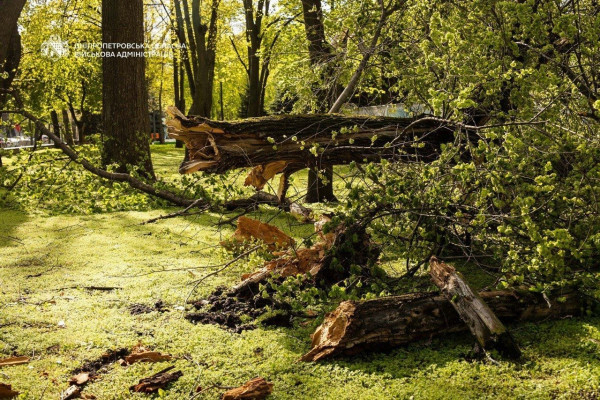 Після негоди світло повернули майже 130 тисячам абонентів на Дніпропетровщині1