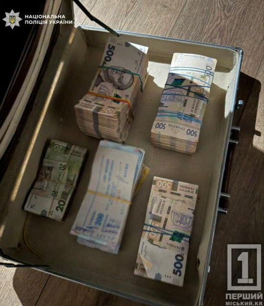 Пів мільярда осіли у чужих кишенях: на Дніпропетровщині пройшли обшуки у справі про відмивання оборонних коштів3