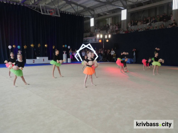 Понад 200 спортсменок змагалися у відкритому Кубку з художньої гімнастики у Кривому Розі: хто став найкращим2