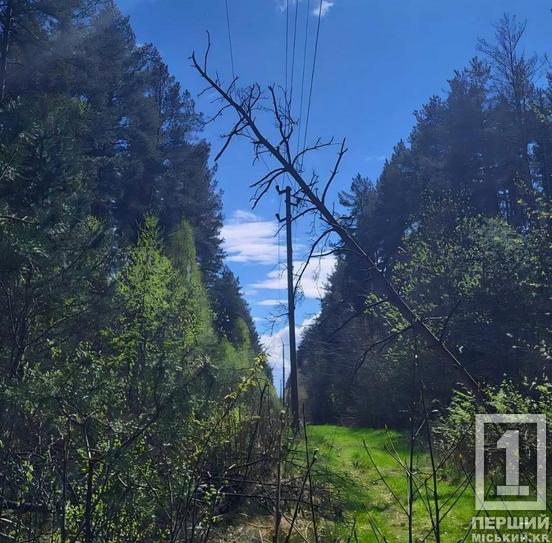 Повалені дерева та тисячі домівок без світла: Дніпропетровщиною пронісся буревій2