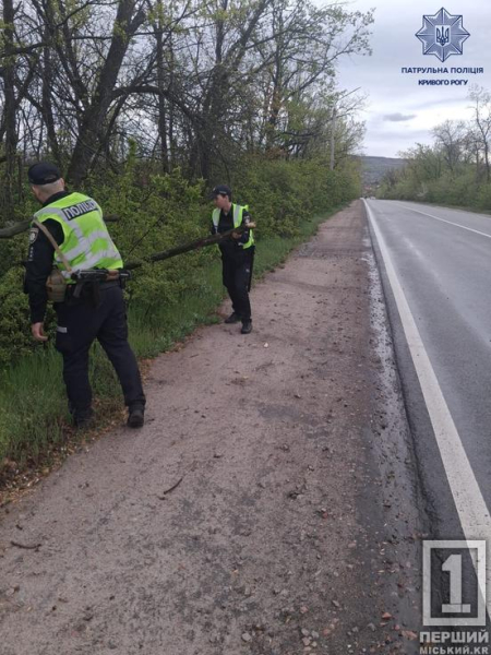 Повалені дерева та тисячі домівок без світла: Дніпропетровщиною пронісся буревій1