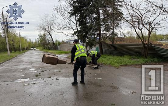 Повалені дерева та тисячі домівок без світла: Дніпропетровщиною пронісся буревій