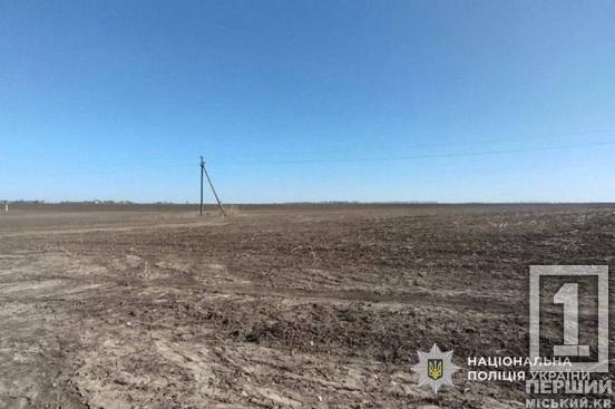 Приховав 200 гектарів землі та мільйонні прибутки: на Криворіжжі викрили депутата-махінатора1