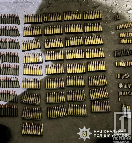 Продавав зброю поштою: адвокат з Дніпра облаштував у своєму гаражі цілий арсенал2