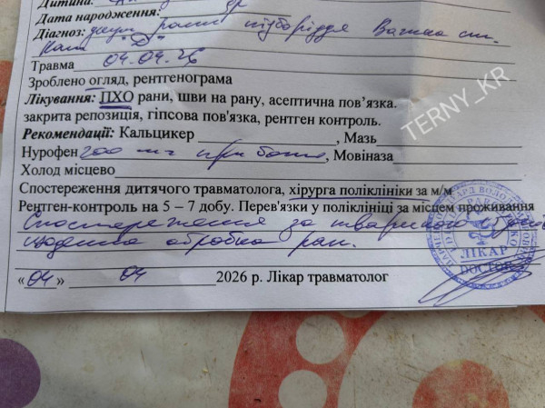 У Кривому Розі бродячий пес напав на 9-річну дівчинку1