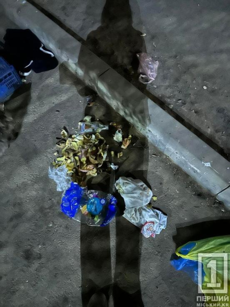 У Кривому Розі на 7-му Зарічному у сміттєвому баку знайшли новонароджених кошенят1