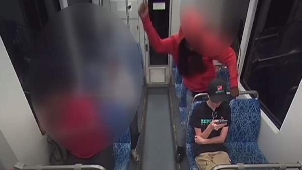 У США підозрюваного у вбивстві українки визнали неспроможним до суду2