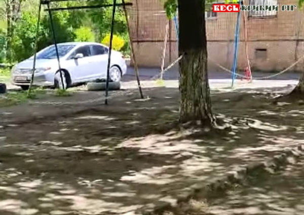 Дерева в кайданах, щоб огородити паркомісця на вул. Калнишевського в Кривому Розі