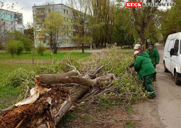 Комунальники прибирають повалені буревієм дерева в Зеленодольську