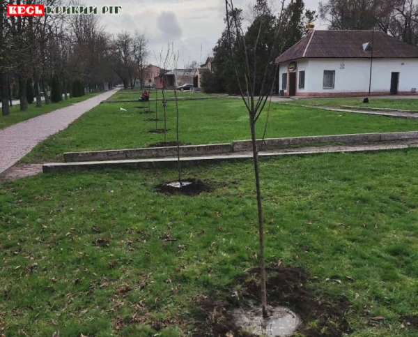 Саджанці дерев висаджено в Софіївській громаді Криворізького району