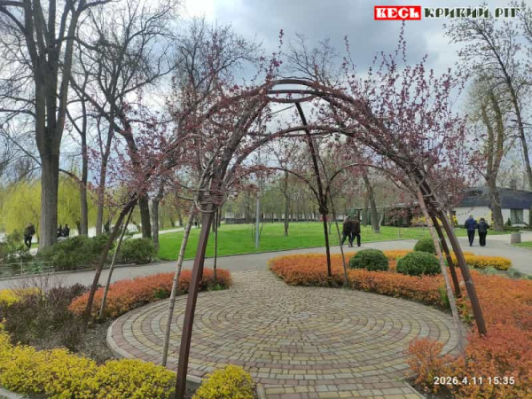 Сакури зацвіли в парку Мершавцева в Кривому Розі