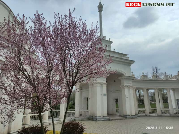 Сакури зацвіли поблизу Човникової станції в Кривому Розі