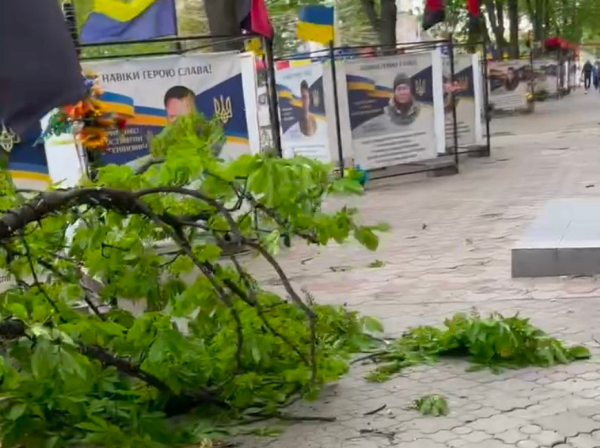 Відсутність світла, повалені дерева та пошкоджені авто: наслідки буревію на Криворіжжі1