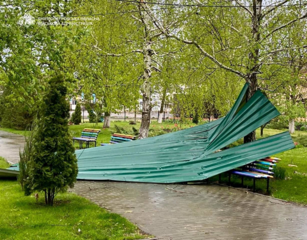 Відсутність світла, повалені дерева та пошкоджені авто: наслідки буревію на Криворіжжі4