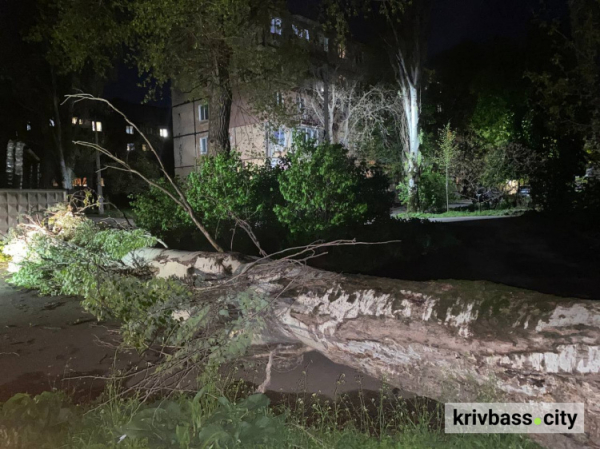 Наслідки негоди у Кривому розі 26 квітня
