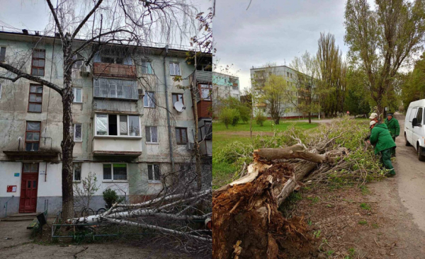 Відсутність світла, повалені дерева та пошкоджені авто: наслідки буревію на Криворіжжі3