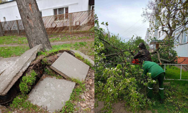 Відсутність світла, повалені дерева та пошкоджені авто: наслідки буревію на Криворіжжі2