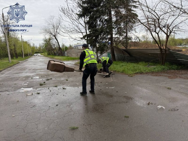 Відсутність світла, повалені дерева та пошкоджені авто: наслідки буревію на Криворіжжі5