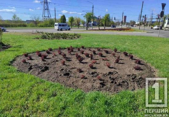Залишили порожні лунки: на вулиці Вільної Ічкерії вандали спустошили клумби1