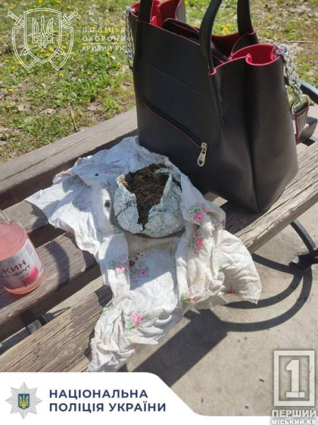 «Засвітила» наркотики після випивки у громадському місці:  у Кривому Розі затримали жінку1