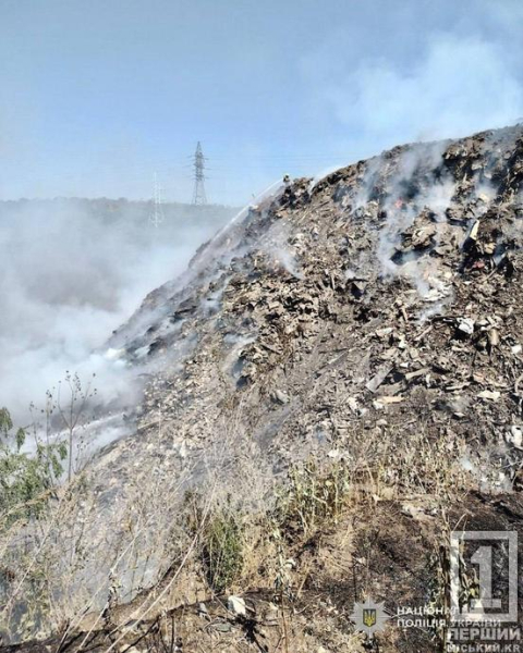 Дві доби вогню та токсичний дим: на Дніпропетровщині підозрюють посадовця у службовій недбалості1