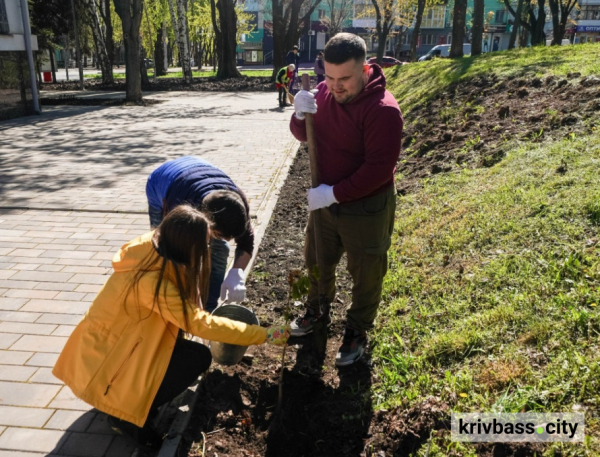 Ініціативна молодь ЦГЗК Метінвесту провела акцію з озеленення міста2