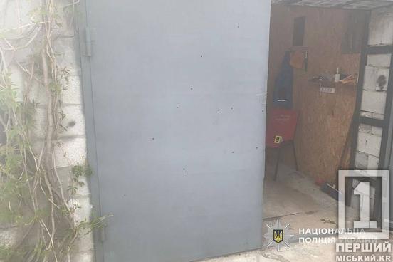 Кулі прошили ворота  та понівечили іномарку: на Дніпропетровщині затримали чоловіка, що вчинив стрілянину посеред ночі1