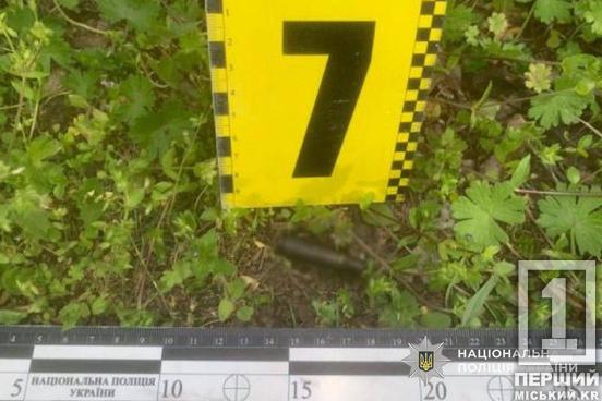 Кулі прошили ворота  та понівечили іномарку: на Дніпропетровщині затримали чоловіка, що вчинив стрілянину посеред ночі2
