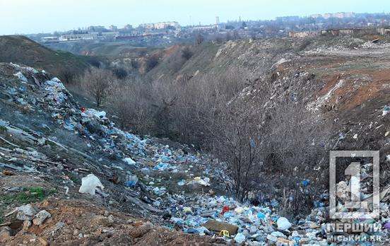 Майже 5 мільйонів збитків через сміття: у Кривому Розі викрили масштабне забруднення земель