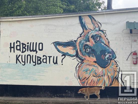 Мокрі носики вірні нам до свого останнього подиху: у Кривому Розі влаштували день відкритих дверей у притулку для тварин