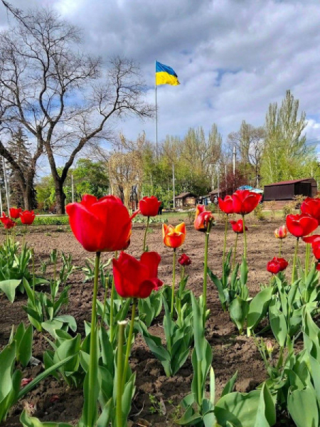 Ніч у Кривому Розі минула без обстрілів0