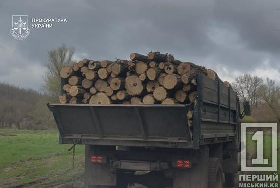 Нищили ліс пів року: на Дніпропетровщині затримали банду «чорних лісорубів»4