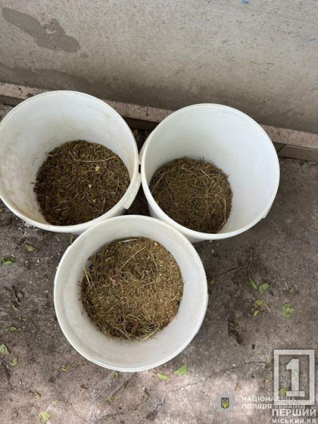 У Кривому Розі накрили наркоторговця, який розсилав канабіс поштою