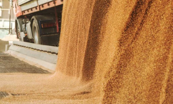 Угорщина знову забороняє імпорт агропродукції з України