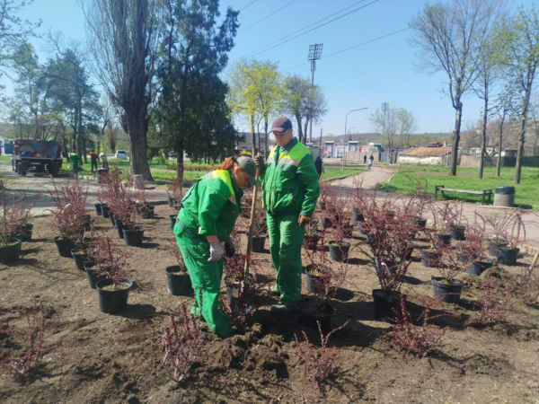 Весняне оновлення Кривого Рогу: сакури, клени та плакучі берези прикрасили місто4