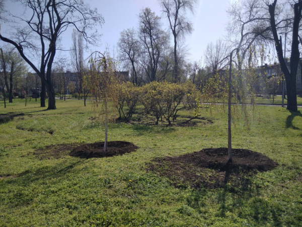 Весняне оновлення Кривого Рогу: сакури, клени та плакучі берези прикрасили місто5